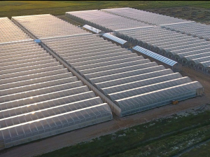 Θερμοκήπια Θράκης: Νέες επενδύσεις 14,5 εκατ. ευρώ για τη διετία 2024-2026