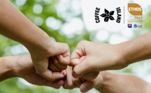Η Coffee Island πιστοποιήθηκε με το Σήμα ETHOS GOLD υπεύθυνης επιχειρηματικότητας
