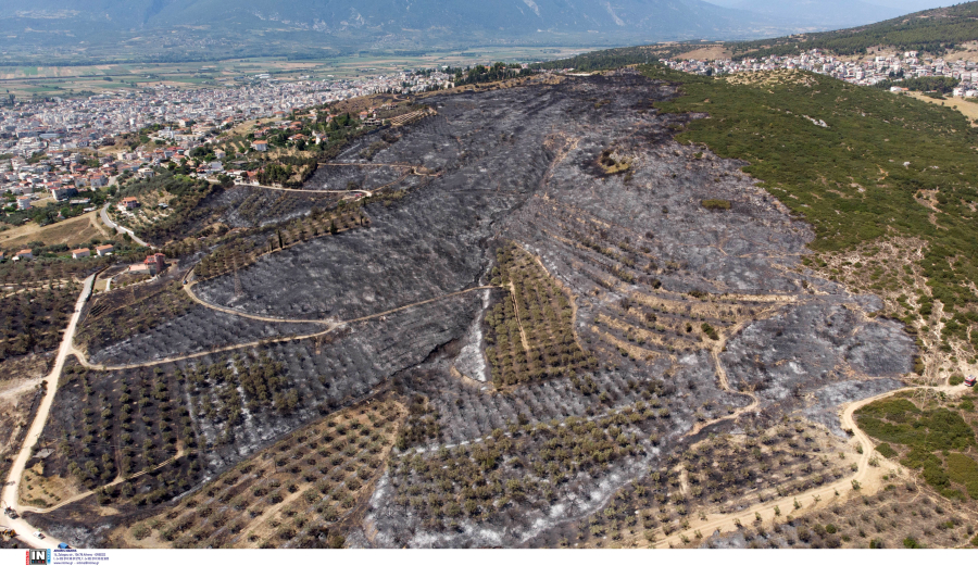 Λαμία: Αναζωπυρώθηκε η πυρκαγιά στα βόρεια της πόλης