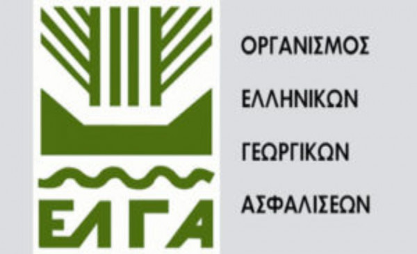 ΕΛΓΑ: Αύριο καταβάλλονται 19,7 εκατ. για αποζημιώσεις και κρατικές ενισχύσεις σε 7.420 δικαιούχους