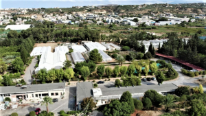 Η καλλιέργεια χαρουπιού στην Κρήτη και το νέο ερευνητικό έργο