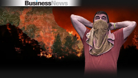 Εύβοια: Τo 1/3 των δασών της κάηκε από την πρόσφατη πυρκαγιά