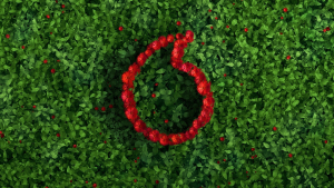 Vodafone Ελλάδας: Ενίσχυση του αποτυπώματος στην Κρήτη με επενδύσεις σε υποδομές, υπηρεσίες και ανθρώπινο δυναμικό