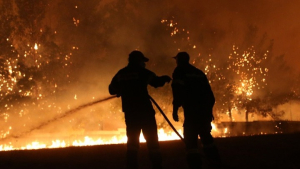 Ισπανία: Οι πυρκαγιές έκαψαν επιπλέον 300.000 στρέμματα σε ένα 24ωρο