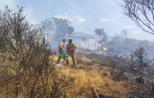 Βόλος: Φωτιά περιμετρικά της πόλης - Απειλούνται κατοικημένες περιοχές