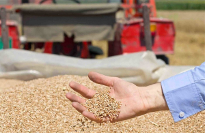 Έρευνα Gaia επιχειρείν: Η χώρα μας έχει έλλειμμα σε γάλα, σιτάρι και χοιρινό κρέας