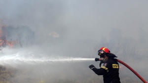Υπό πλήρη έλεγχο η φωτιά που ξέσπασε στη Θάσο