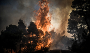 Αύξηση θερμοκρασίας έως και 10°C στον Βαρνάβα και την Πεντέλη μετά την περσινή πυρκαγιά