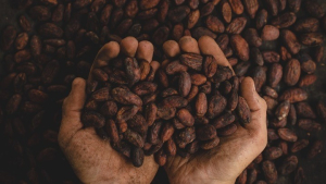 Η σοκολάτα, το νέο προϊόν πολυτελείας - Στα ύψη η τιμή του κακάο, λίγο πριν από το καθολικό Πάσχα