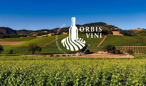 Orbis Vini: Η πρώτη έκθεση στην Ελλάδα αφιερωμένη στον παγκόσμιο αμπελώνα