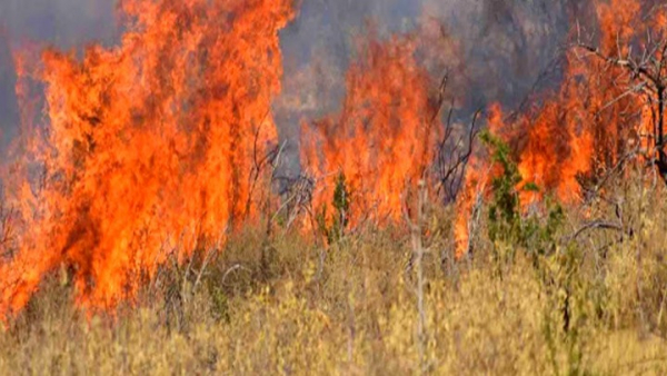 Υπό μερικό έλεγχο δύο φωτιές που ξέσπασαν σχεδόν ταυτόχρονα στην Κέρκυρα