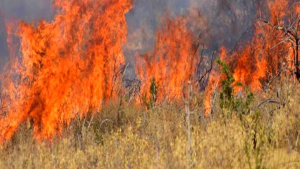 Υπό μερικό έλεγχο δύο φωτιές που ξέσπασαν σχεδόν ταυτόχρονα στην Κέρκυρα