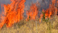 Υπό μερικό έλεγχο δύο φωτιές που ξέσπασαν σχεδόν ταυτόχρονα στην Κέρκυρα