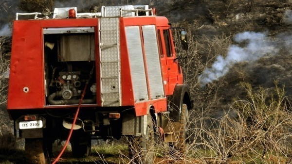 Πυρκαγιά σε αγροτοδασική έκταση στην Οινόη - Ενισχύθηκαν οι πυροσβεστικές δυνάμεις