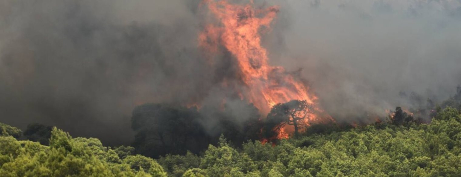 Κάρυστος: Αναζωπύρωση στον Πλατανιστό