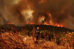 Φωτιά στον Έβρο: Εκκενώνονται Λευκίμμη και Κασσιτερά Ροδόπης - Ενισχύονται οι πυροσβεστικές δυνάμεις
