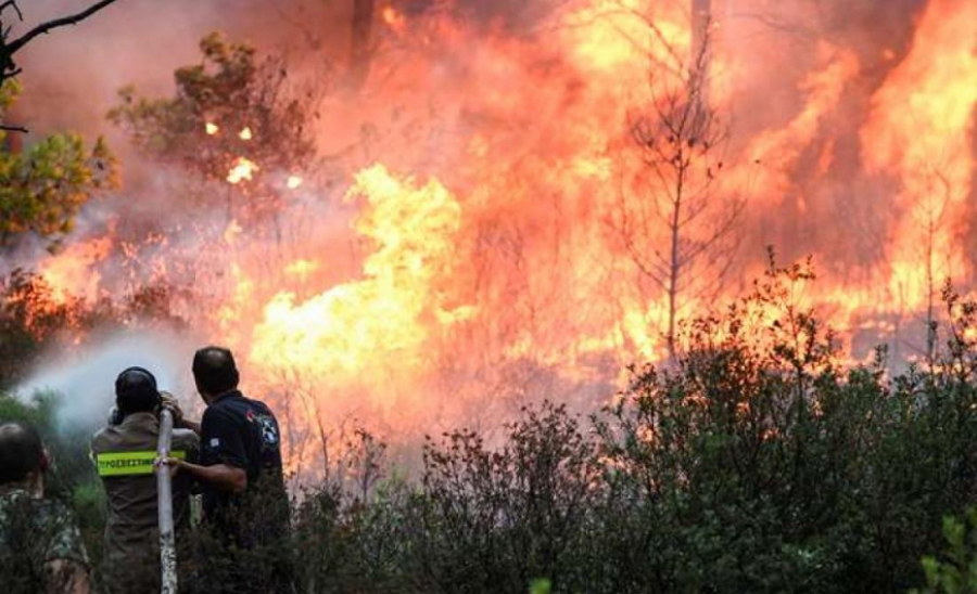 Ναύπακτος: Φωτιά σε δασική έκταση στην περιοχή Ασπριά