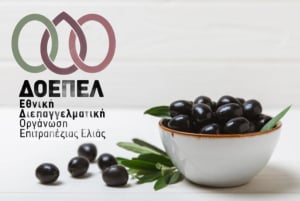 Νέος πρόεδρος της ΔΟΕΠΕΛ ο Αθ. Μπαλτάς