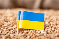 Έτοιμη η Ουκρανία για την επανεκκίνηση των εξαγωγών σιτηρών