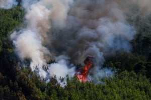 Φωτιά στην Κορινθία - Συναγερμός στην Πυροσβεστική
