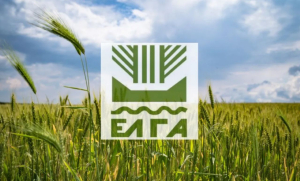 ΕΛΓΑ: Εξήντα προσλήψεις με συμβάσεις εργασίας έως οκτώ μήνες – Οι περιοχές και η προθεσμία για τις αιτήσεις