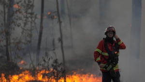 Η Πορτογαλία δοκιμάζεται από τον καύσωνα και τις πυρκαγιές