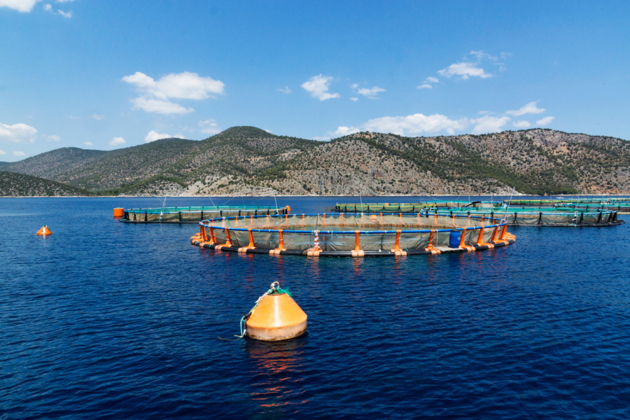 ΕΛΟΠΥ: Έλαβε τιμητική διάκριση στο 7ο Συμπόσιο Ιατρικού Τουρισμού Υγείας και Ευεξίας