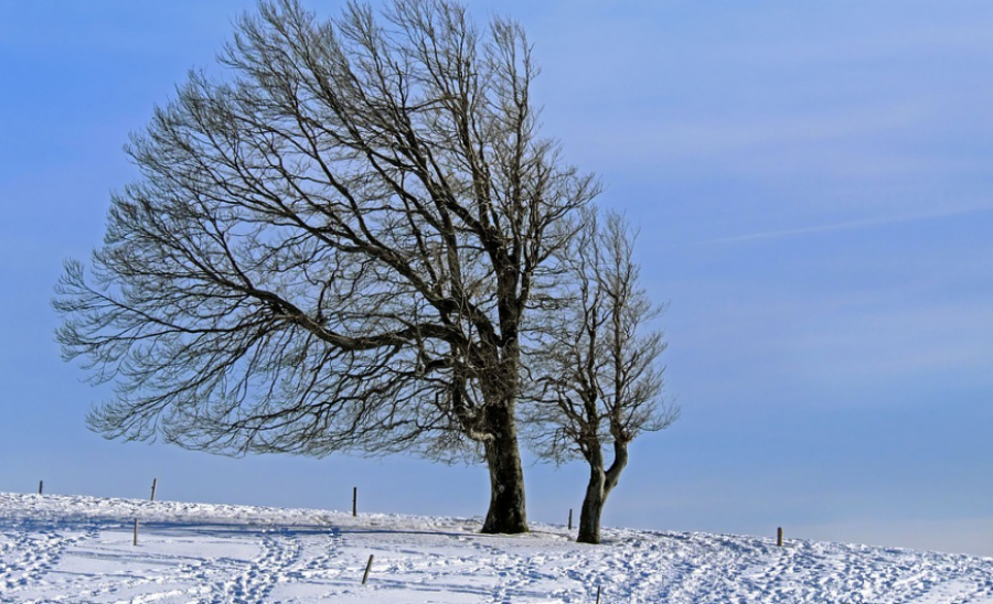 Καιρός: Προς επιδείνωση με πυκνές χιονοπτώσεις τις επόμενες ώρες