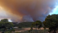 Φωτιά στην Εύβοια 9η Ημέρα: Έκαψε σχεδόν τα πάντα και είναι σε ύφεση