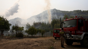 Φωτιά στην Ηλεία: Στο νοσοκομείο δύο πυροσβέστες μετά από ανατροπή οχήματος