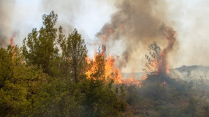 Ενισχύθηκαν οι δυνάμεις της Πυροσβεστικής για την πυρκαγιά στην Κάρυστο