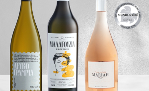 Οινοποιεία Μπουτάρη: 11 σημαντικές διακρίσεις σε δύο κορυφαίους διαγωνισμούς οίνου