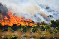 Φωτιά στον Κουβαρά: Διακοπή κυκλοφορίας στη Λεωφόρο Αναβύσσου