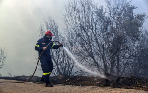Πυρκαγιά σε δασική έκταση στις Ερυθρές Αττικής