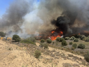 Πυρκαγιά εκδηλώθηκε στην Κω