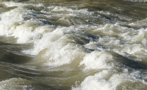 Copernicus Marine: Η υπερθέρμανση των ωκεανών έχει βαρύτατες συνέπειες στο θαλάσσιο περιβάλλον