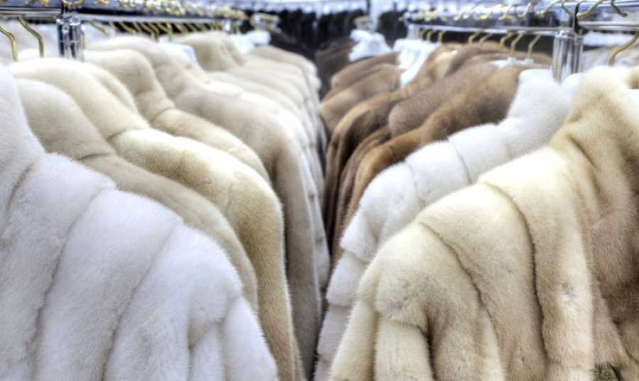 Εκτακτη επιχορήγηση έως 60.000 ευρώ σε επιχειρήσεις του κλάδου γούνας