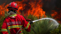 Στις φλόγες μεγάλες εκτάσεις σε Γαλλία και Ισπανία - Συναγερμός για τον καύσωνα στη Δυτ. Ευρώπη