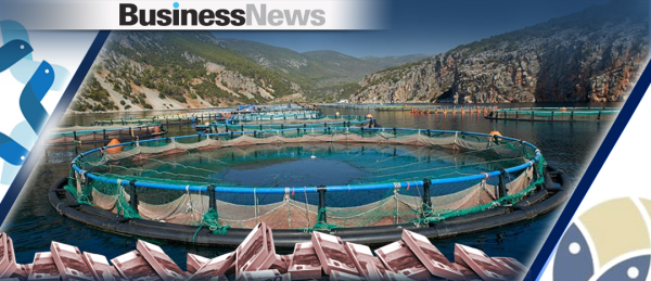 Avramar: Άλμα σχεδόν 20% στον τζίρο και επιστροφή στην κερδοφορία το 2025
