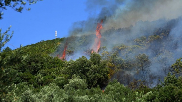 Τρία τα πύρινα μέτωπα στο δήμο Αρχαίας Ολυμπίας