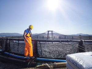 Συνεργασία ΕΛΟΠΥ - ΕΛΚΕΘΕ για προώθηση βιώσιμων δραστηριοτήτων υδατοκαλλιέργειας
