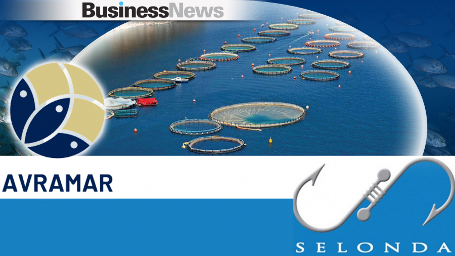 Avramar: Aλλαγή CEO, κοινή εταιρική ταυτότητα και συμμάζεμα της τριπλής συγχνώνευσης Σελόντα, Νηρεύες, Aquavest