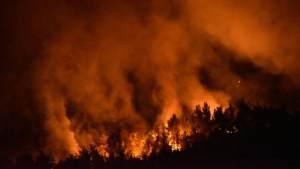 Φέτος κάηκαν κατά 30% περισσότερες εκτάσεις από τον ετήσιο μέσο όρο