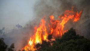 Φωτιά κοντά στην Ασωπία