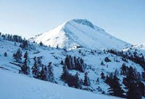 Καλά στην υγεία τους 40 περιπατητές που εγκλωβίστηκαν στο καταφύγιο της Δίρφυς