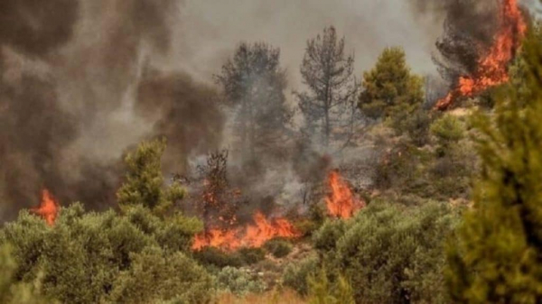 Λαγουβάρδος: Μέχρι 113 χλμ/ώρα οι ριπές στην Πεντέλη - Δύσκολες οι επόμενες ώρες