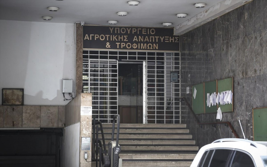 ΥΠΑΑΤ: Πιστώνεται έως τις 30/6 ενίσχυση 5,7 εκατ. ευρώ σε χοιροτρόφους