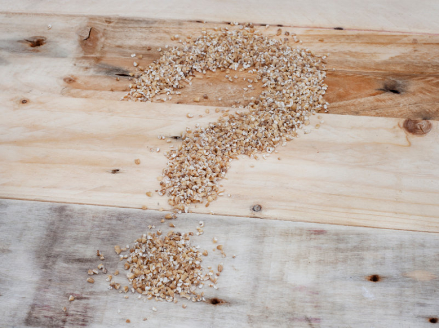 ΟΗΕ: Η Λατινική Αμερική αντιμέτωπη με κίνδυνο επισιτιστικής κρίσης, λόγω του πολέμου