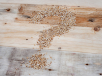 ΟΗΕ: Η Λατινική Αμερική αντιμέτωπη με κίνδυνο επισιτιστικής κρίσης, λόγω του πολέμου