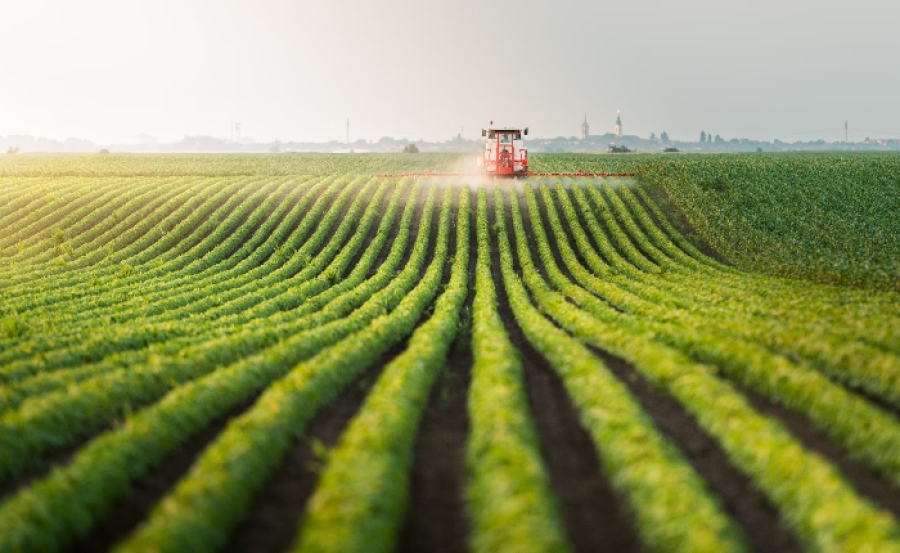 Financial Times: Η ΕΕ σχεδιάζει περιορισμούς τύπου «Τραμπ» σε εισαγωγές τροφίμων